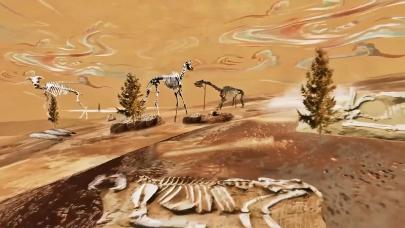 【新华访谈】在甘肃和政“远古动物园” 探寻地球生命演化足迹